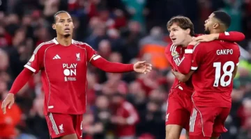 فان دايك يتوقع نجاح فيرتز الكبير في صفوف ليفربول